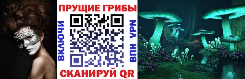shop формула  KRAKEN вход  Ступино  Галлюциногенные грибы Magic Shrooms 